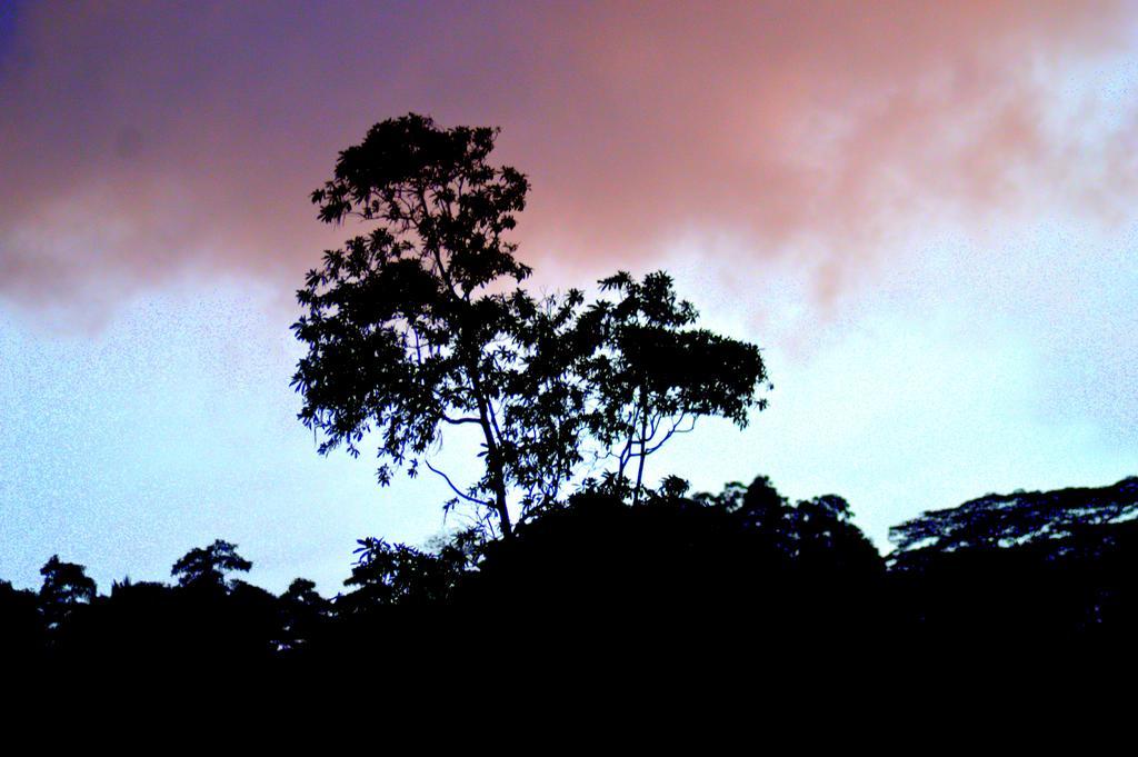 Hostel 107 Kandy Luaran gambar